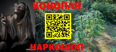 сатива Ирбит