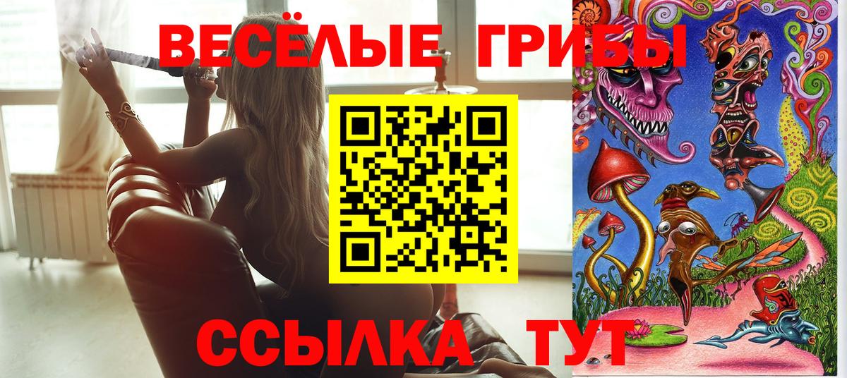 Лосино-Петровский  Галлюциногенные грибы MAGIC MUSHROOMS  Галлюциногенные грибы MAGIC MUSHROOMS  Вход с VPN 